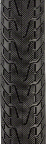 Panaracer Pasela ProTite Tire - 700 x 38, Clincher, Folding, Black/Tan, 60tpi