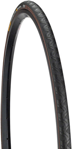 Continental Grand Prix 4-Season Tire - 700 x 25, Clincher, Folding, Black, 330tpi