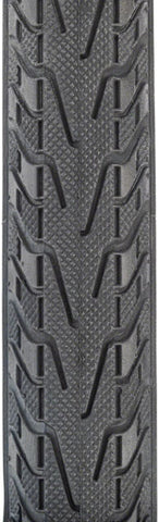 Panaracer Pasela Tire - 700 x 28, Clincher, Wire, Black, 60tpi