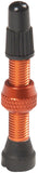 Stan's NoTubes Alloy Valve Stems - 35mm, Pair, Orange