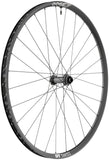 DT Swiss X 1900 Spline 25 Front Wheel - 29", 15 x 110mm, Center-Lock, Black