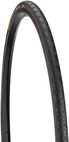 Continental Grand Prix 4-Season Tire - 700 x 23, Clincher, Folding, Black, 330tpi