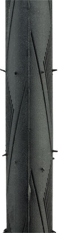 Schwalbe Durano DD Tire - 700 x 25, Clincher, Folding, Black/Graphite, Performance Line