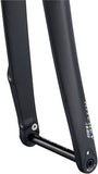 Ritchey WCS Carbon Road Disc Fork - 1-1/8", 46mm Rake, Flat Mount , 12mm Thru x 100mm, Black