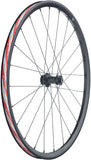 Fulcrum Rapid Red 3 DB Front Wheel - 700, 12 x 100mm, Center-Lock, Black