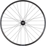 Stan's No Tubes Crest S2 Front Wheel - 29", 15 x 100mm, 6-Bolt, Black