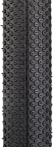Schwalbe G-One Allround Tire - 700 x 45, Tubeless, Folding, Black, Addix SpeedGrip